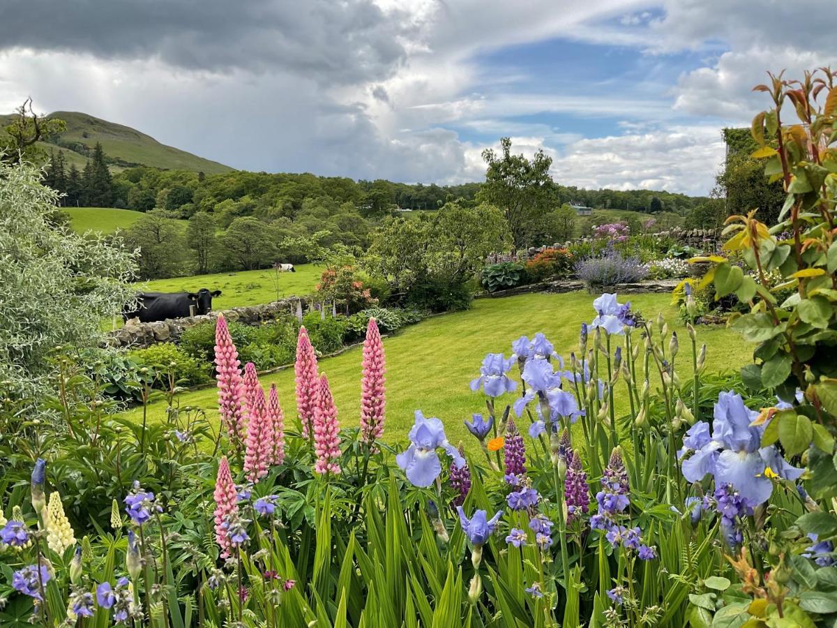 River View Knockraich Farm Fintry Exterior foto