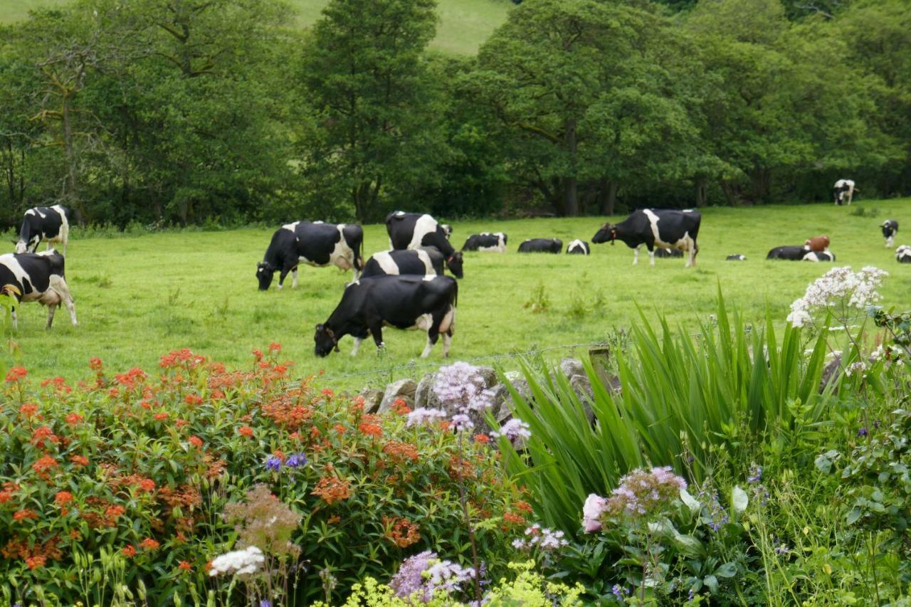 River View Knockraich Farm Fintry Exterior foto